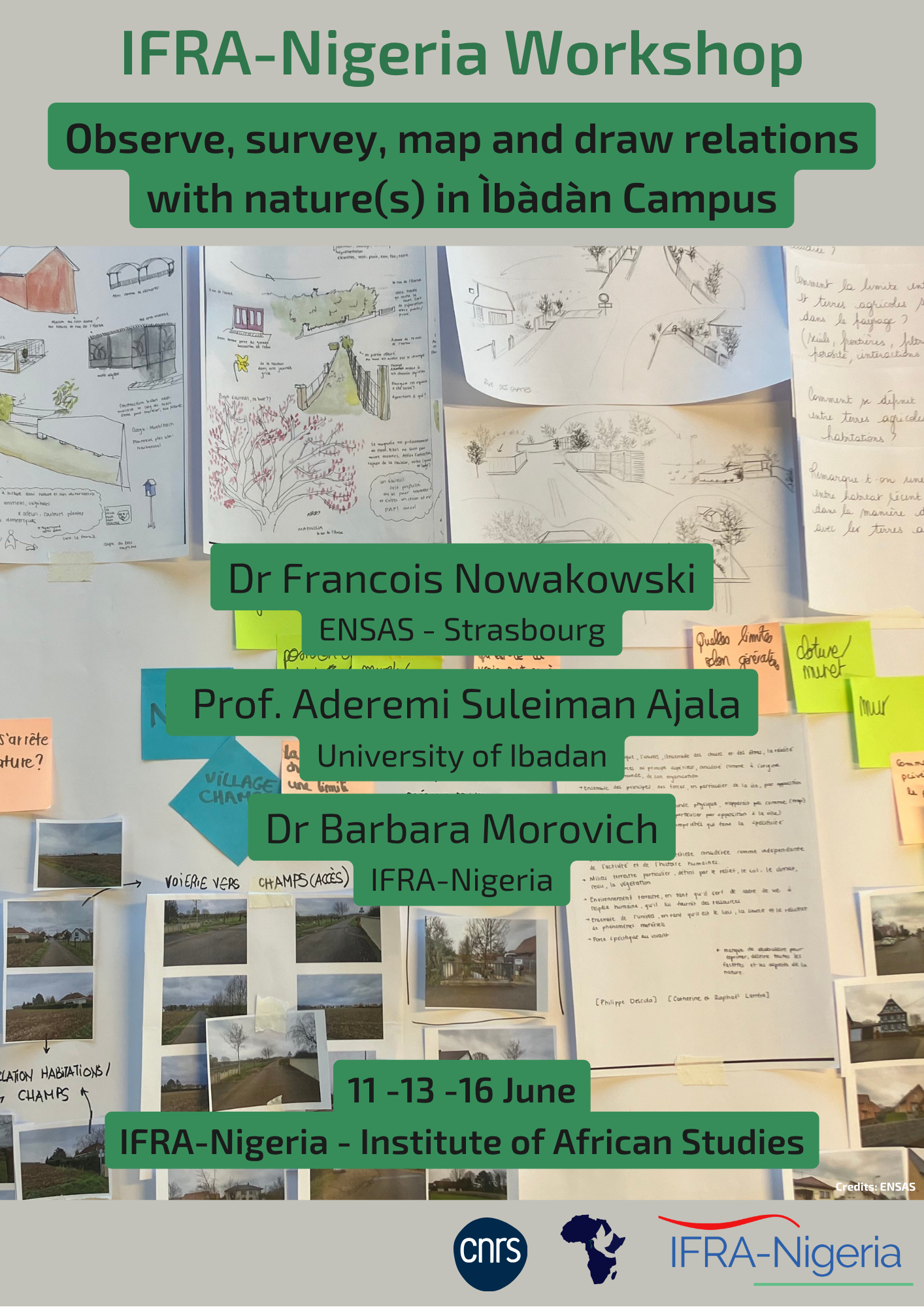 W Observe Survey Poster